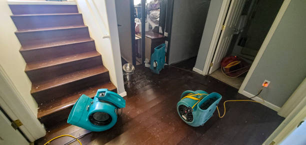 Best Professional water damage repair  in Monroe, WI