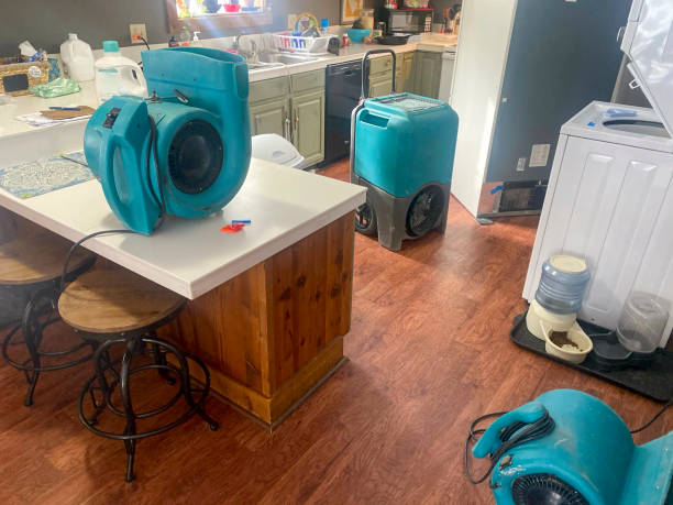 Best Carpet water damage restoration  in Monroe, WI