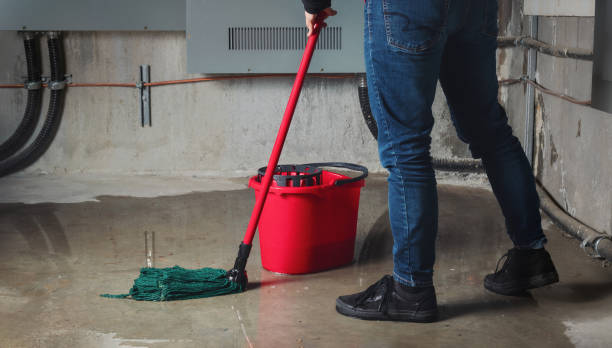 Best 24-hour water damage restoration  in Monroe, WI