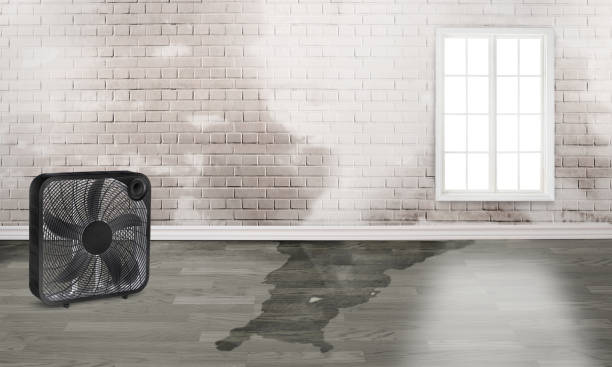 Best Water damage restoration insurance claims  in Monroe, WI