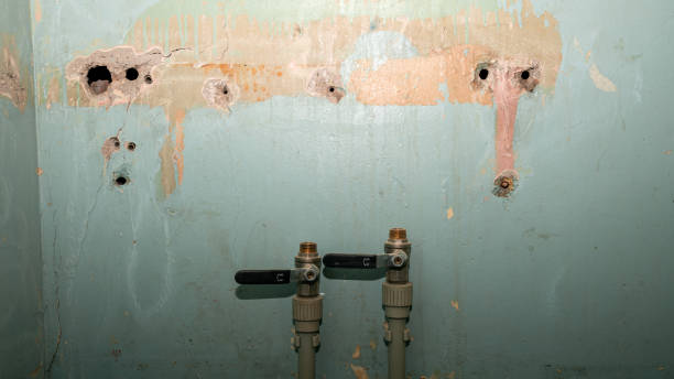 Best Flood restoration services  in Monroe, WI
