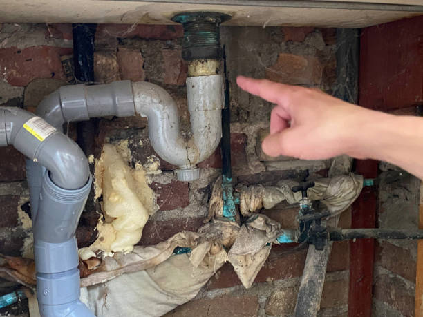 Best Ceiling water damage repair  in Monroe, WI