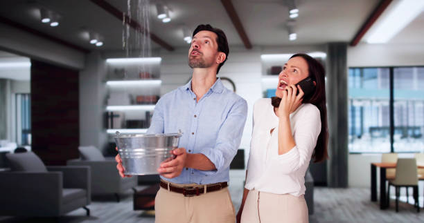 Best Water damage cleanup near me  in Monroe, WI