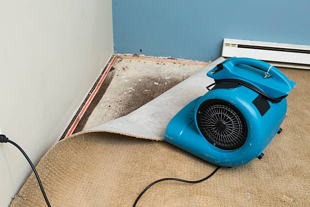 Best Sewage cleanup and water damage restoration  in Monroe, WI