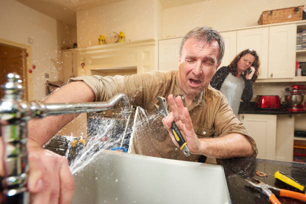 Best Local water damage restoration  in Monroe, WI